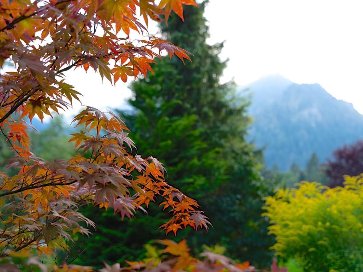 Hubertus Apartments Schliersee Dış mekan fotoğraf